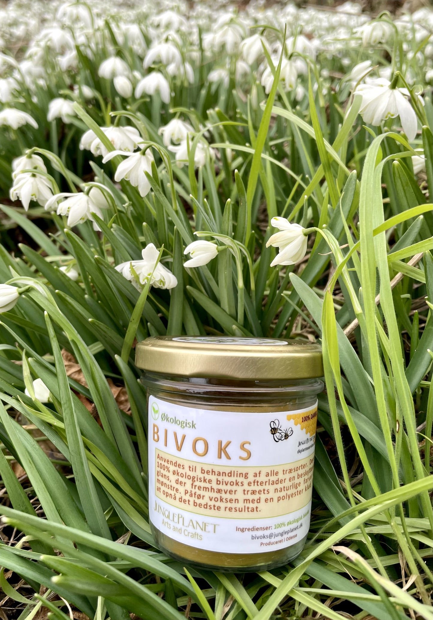 Økologisk Bivoks / 85g